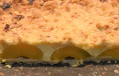 gallery/aprikosenquarkkuchen_01